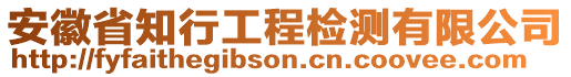 安徽省知行工程檢測(cè)有限公司