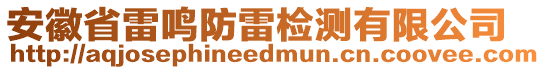 安徽省雷鳴防雷檢測有限公司