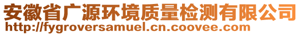 安徽省廣源環(huán)境質(zhì)量檢測有限公司