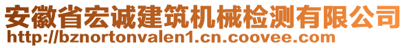 安徽省宏誠(chéng)建筑機(jī)械檢測(cè)有限公司