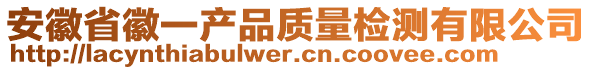 安徽省徽一產(chǎn)品質量檢測有限公司