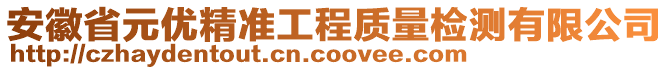 安徽省元優(yōu)精準工程質(zhì)量檢測有限公司