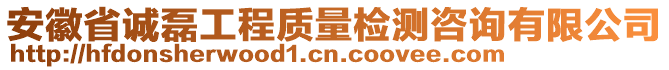 安徽省誠(chéng)磊工程質(zhì)量檢測(cè)咨詢有限公司