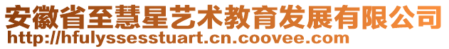 安徽省至慧星藝術(shù)教育發(fā)展有限公司