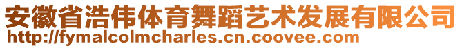 安徽省浩偉體育舞蹈藝術發(fā)展有限公司