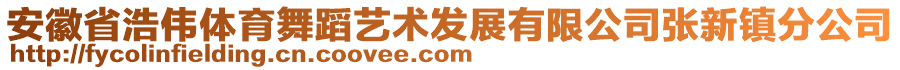 安徽省浩偉體育舞蹈藝術發(fā)展有限公司張新鎮(zhèn)分公司