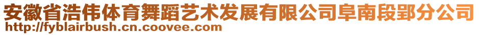 安徽省浩偉體育舞蹈藝術(shù)發(fā)展有限公司阜南段郢分公司