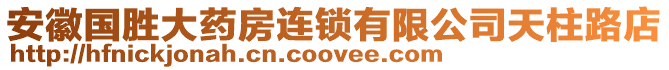 安徽國勝大藥房連鎖有限公司天柱路店