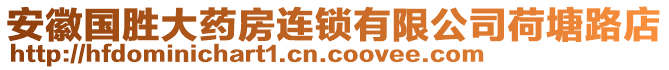 安徽國勝大藥房連鎖有限公司荷塘路店