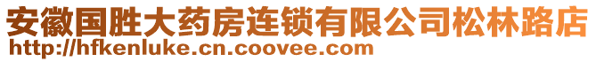 安徽國勝大藥房連鎖有限公司松林路店