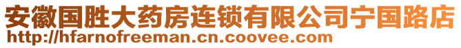 安徽國勝大藥房連鎖有限公司寧國路店