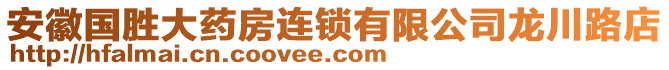 安徽國勝大藥房連鎖有限公司龍川路店