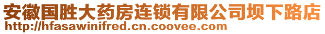 安徽國(guó)勝大藥房連鎖有限公司壩下路店