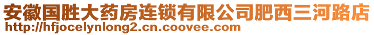 安徽國勝大藥房連鎖有限公司肥西三河路店