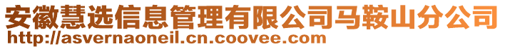 安徽慧選信息管理有限公司馬鞍山分公司