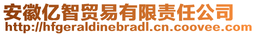 安徽億智貿(mào)易有限責(zé)任公司