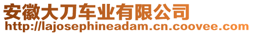 安徽大刀車業(yè)有限公司