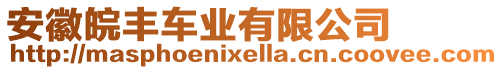 安徽皖豐車業(yè)有限公司