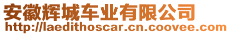 安徽輝城車業(yè)有限公司