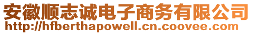 安徽順志誠(chéng)電子商務(wù)有限公司