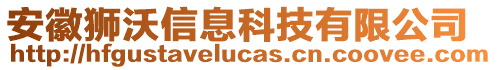 安徽獅沃信息科技有限公司