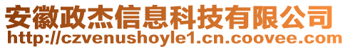 安徽政杰信息科技有限公司