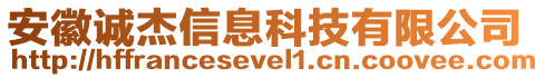 安徽誠(chéng)杰信息科技有限公司