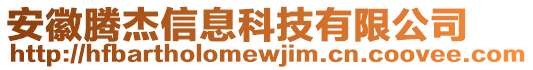 安徽騰杰信息科技有限公司