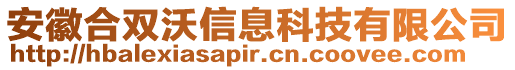 安徽合雙沃信息科技有限公司