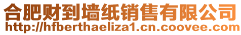 合肥財?shù)綁堜N售有限公司