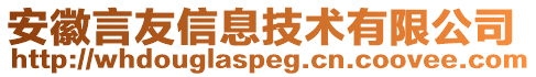 安徽言友信息技術(shù)有限公司