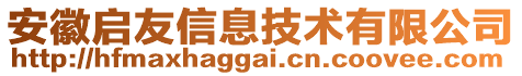 安徽啟友信息技術(shù)有限公司