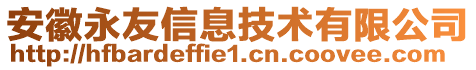 安徽永友信息技術(shù)有限公司