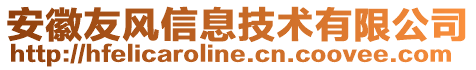 安徽友風(fēng)信息技術(shù)有限公司