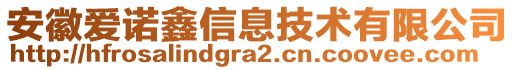 安徽愛諾鑫信息技術(shù)有限公司