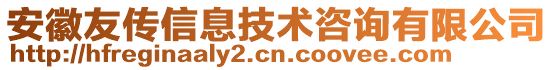 安徽友傳信息技術咨詢有限公司