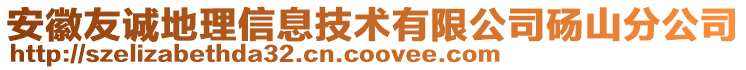 安徽友誠(chéng)地理信息技術(shù)有限公司碭山分公司