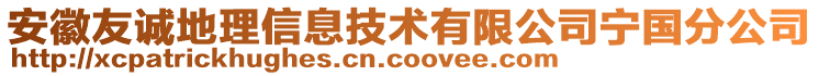 安徽友誠(chéng)地理信息技術(shù)有限公司寧國(guó)分公司