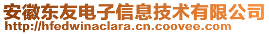 安徽東友電子信息技術(shù)有限公司