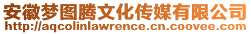 安徽夢圖騰文化傳媒有限公司