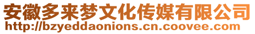 安徽多來(lái)夢(mèng)文化傳媒有限公司