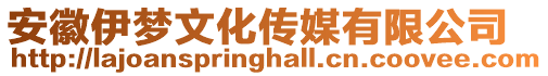 安徽伊夢文化傳媒有限公司