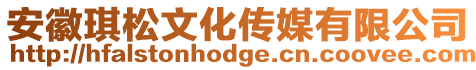 安徽琪松文化傳媒有限公司