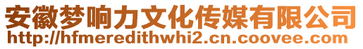 安徽夢響力文化傳媒有限公司