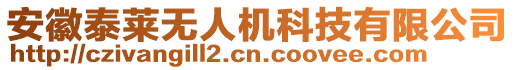 安徽泰萊無(wú)人機(jī)科技有限公司