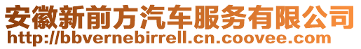 安徽新前方汽車服務(wù)有限公司