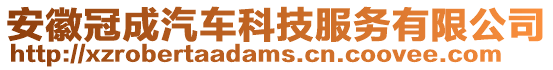 安徽冠成汽車科技服務(wù)有限公司