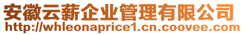 安徽云薪企業(yè)管理有限公司