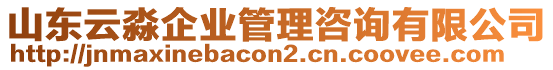 山東云淼企業(yè)管理咨詢有限公司