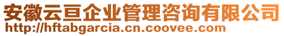 安徽云亙企業(yè)管理咨詢有限公司